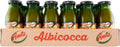 Amita Succo Albicocca 24x200ml case