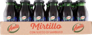 Amita Succo Mirtillo 24x200ml