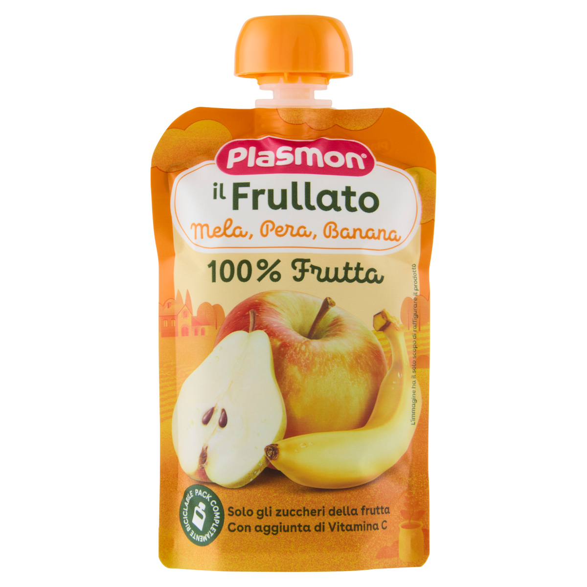 PLASMON POUCH FRUTTA MISTA 100g (6 in a box)