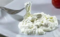 FRESCOLAT STRACCIATELLA X 1KG