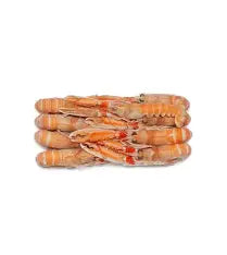 WHOLE SCAMPI 8-12 1 KG BAG FROZEN 12 KG BOX
