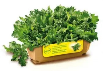 FRIJARIELLI LEAFS LEAFS FROZEN 1 KG BAG (5 KG BOX)