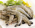 KING PRAWNS FRESH WATER BLOCK 6/8 700G UNIT