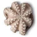PORTOGUESE FROZEN OCTOPUS 1-2 KG PER KG