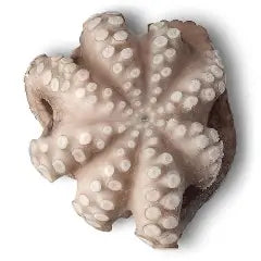 PORTOGUESE FROZEN OCTOPUS 1-2 KG PER KG
