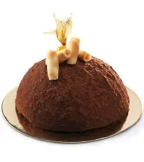 GELATO MONO TARTUFO NERO 12X100G FROZEN
