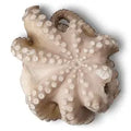 PORTUGUESE FROZEN OCTOPUS 3-4KG 10% GL PER KG