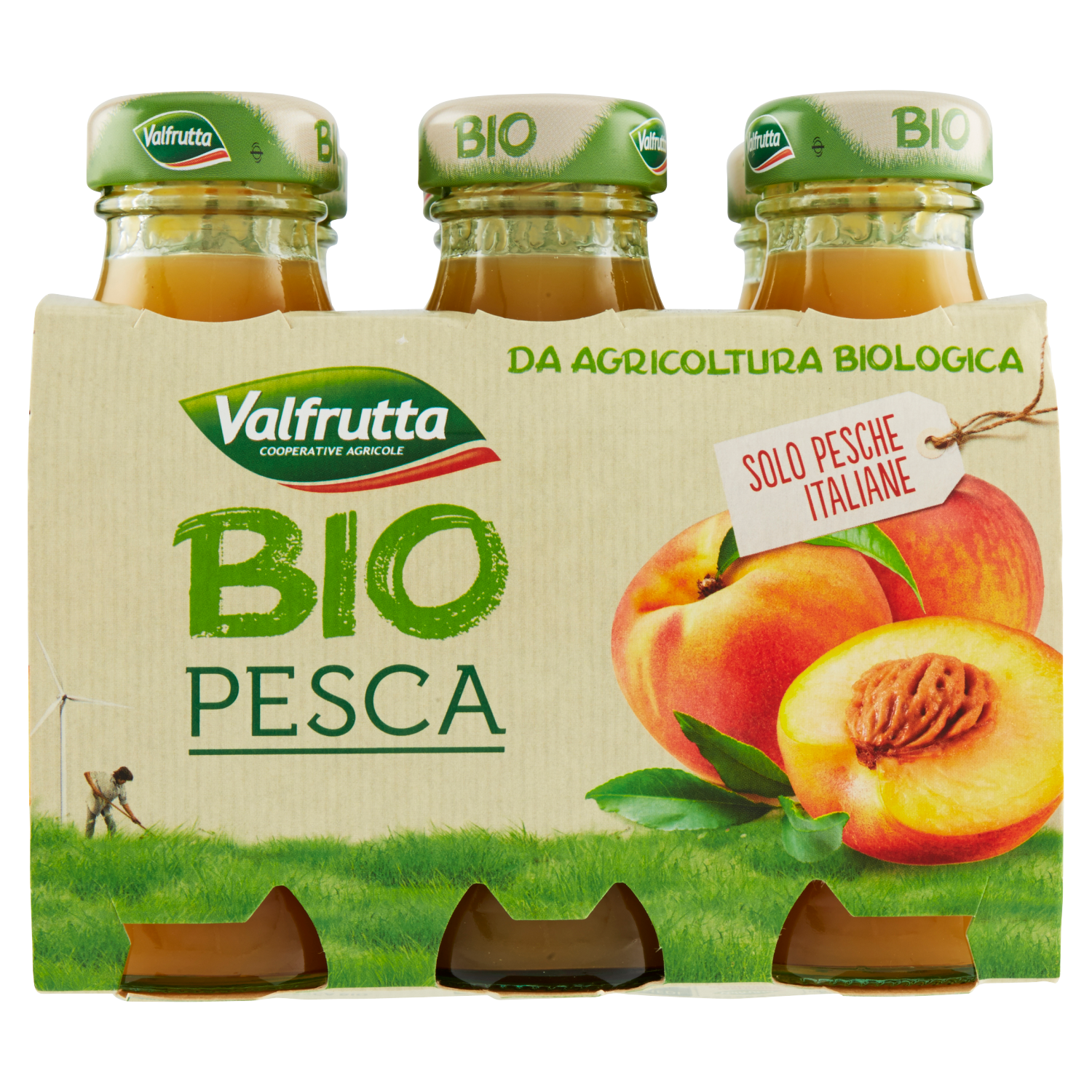 VALFRUTTA SUCCO BIO PESCA 125mlX6 (8 in a box)