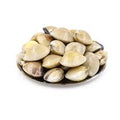 CLAMS COOKED MERETRIX 60/80 PER 1KG BAG FROZEN