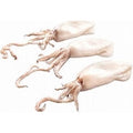 RAW CLEANED BABY SQUID 10/20 800G NET 1KG BAG (10KG BOX)