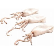 RAW CLEANED BABY SQUID 10/20 800G NET 1KG BAG (10KG BOX)